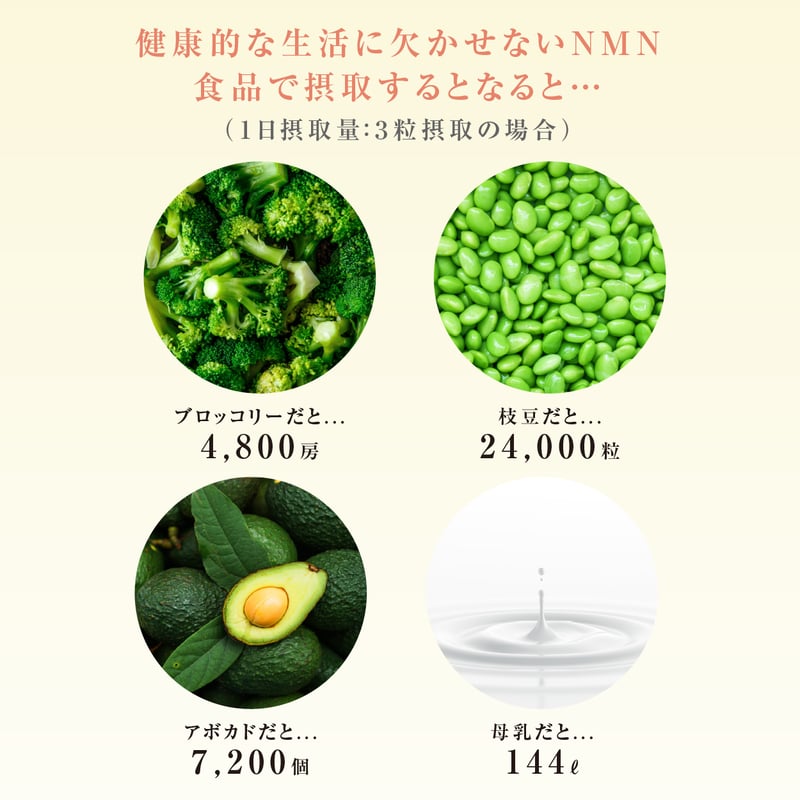 NMN サプリメント 賞味期限2025.8月末 NMN18000+ DNA-Na・RNA 大