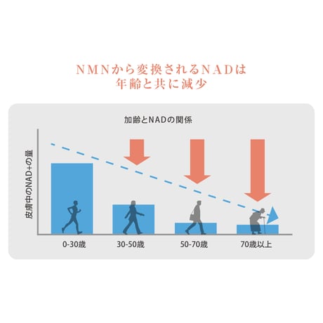 NMN18000+ DNA-Na・RNA