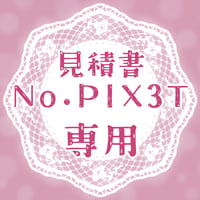 専用出品(PIX3T)