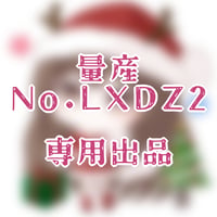 専用出品(LXDZ2)