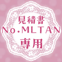 専用出品(GSSDL)