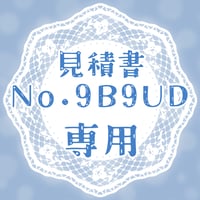 専用出品(9B9UD)