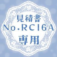 専用出品(RCI6A)