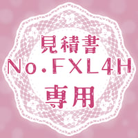 専用出品(FXL4H)
