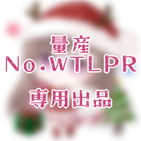 専用出品(WTLPR)