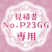 専用出品(P23GG)