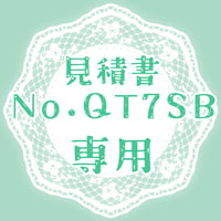 専用出品(QT7SB)