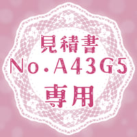 専用出品(A43G5)