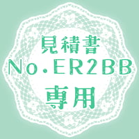 専用出品(ER2BB)