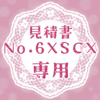 専用出品(6XSCX)