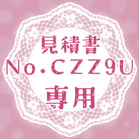 専用出品(CZZ9U)