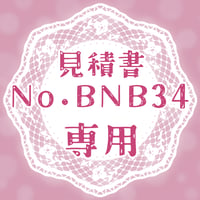 専用出品(BNB34)