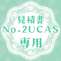 専用出品(2UCAS)