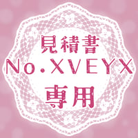 専用出品(XVEYX)