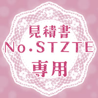 専用出品(STZTE)