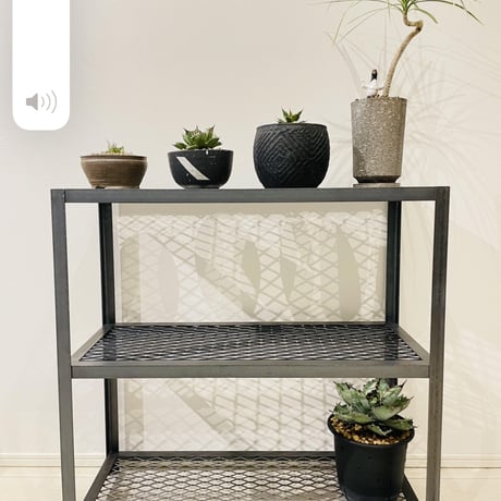 植物棚 | STORES 植物棚 | STORES