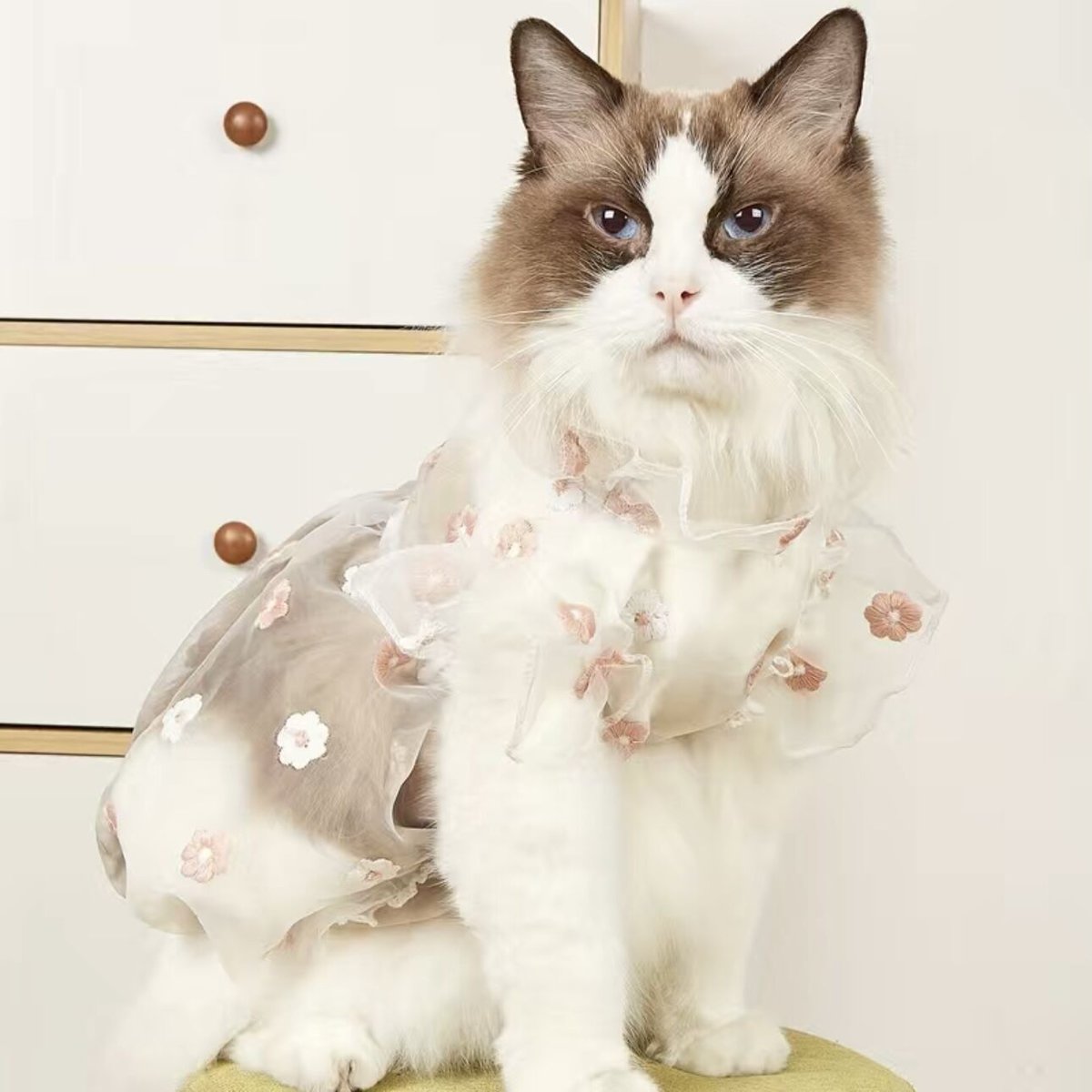 花刺繍犬猫ドレス | Angel STORE