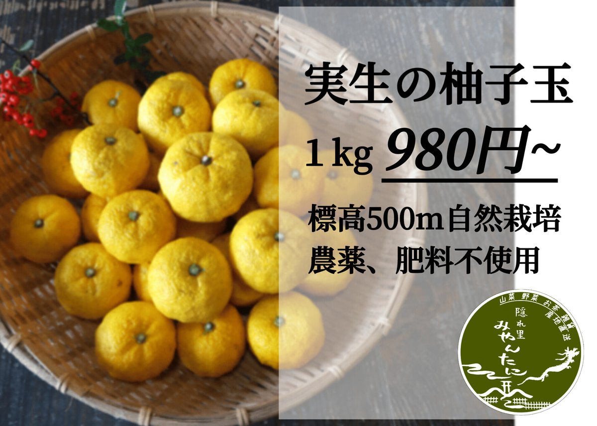 実生の柚子玉 農薬不使用 1kg~10kg | -隠れ里-みやんたに