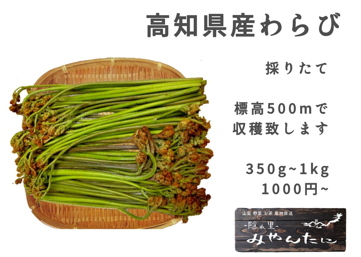 天然わらび 採りたて10kg Amazon.co.jp: ワラビ わらび 山菜 天然物 アク取り用の炭付き 約600g