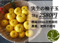 実生の柚子玉 1kg 農薬不使用 | -隠れ里-みやんたに