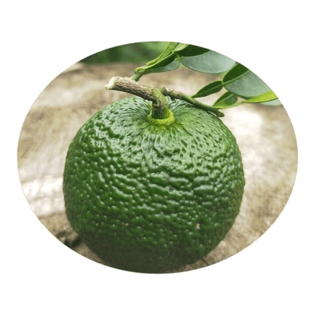 ゆずジャム 楽天市場】ジャム ゆず 【柚子ジャム（135g）】 手づくり