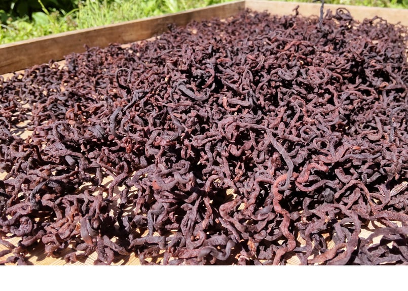 天日干し手揉み 乾燥ぜんまい 70g (中〜細め) | -隠れ里-みやんたに 天日干し手揉み 乾燥ぜんまい 70g (中〜細め) | -隠れ里-みやんたに