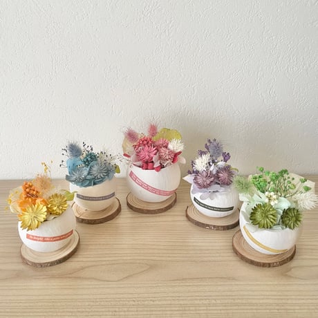 STORES プリザーブドフラワーの検索結果