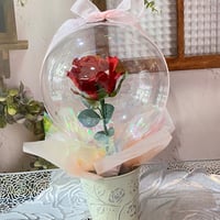 アクアローズ