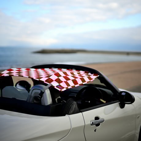 コペン専用ビキニトップ Copen AirTop