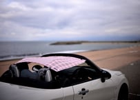 Copen AirTop®︎/国産コットン・からし】最新2025モデル コペン