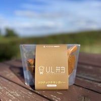 ココナッツチキンカレー
