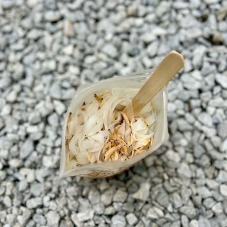 ホタテと海老の牛ヌードル