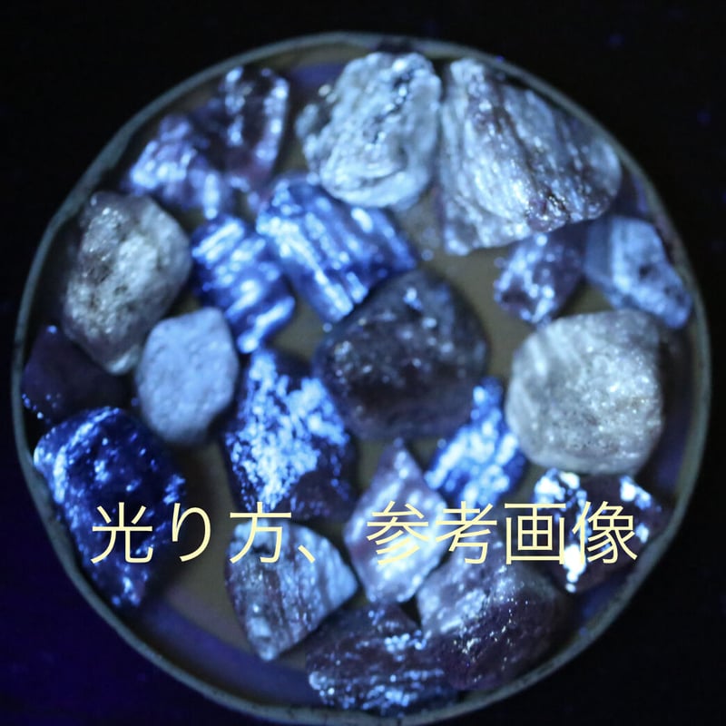 新種 No.15 ブルーアクトゥリアンシーライト 【公式通販】