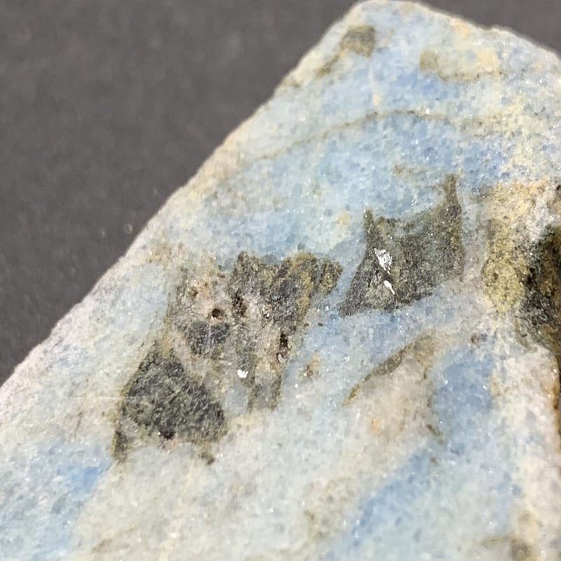 新種 No.15 ブルーアクトゥリアンシーライト 【公式通販】