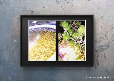 SALVAGE【Ver.ERROR_1】+ A4 Print(8.3 Inch × 11.7 Inch) limited 10copies