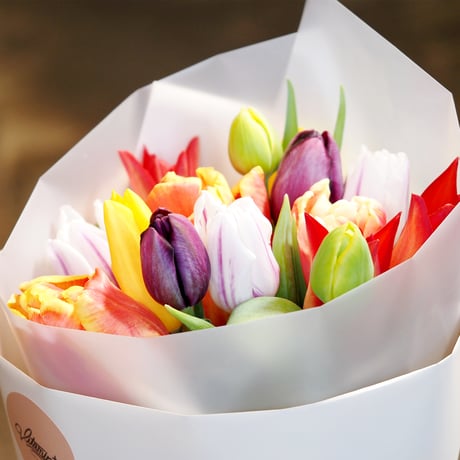 TULIP BOUQUET（Mサイズ）/ チューリップの花束