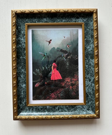 Framed Art Print
