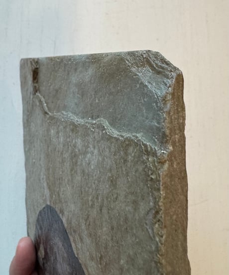 Stone Wall Art/Racoon
