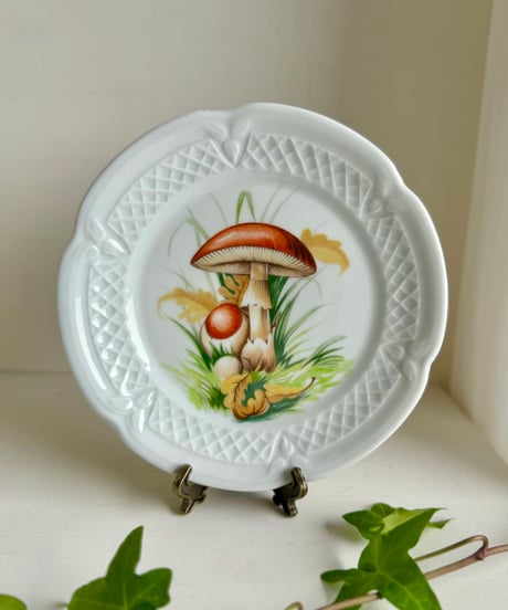 Mushroom Plate/C