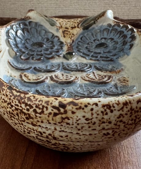 Owl Tray/ Wall Decor