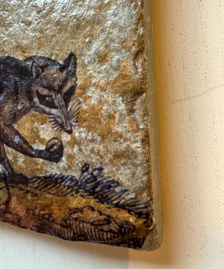Stone Wall Art/Racoon