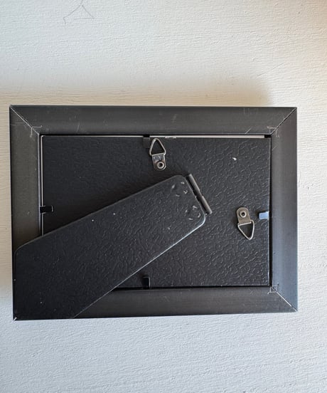 Framed Art/Bison