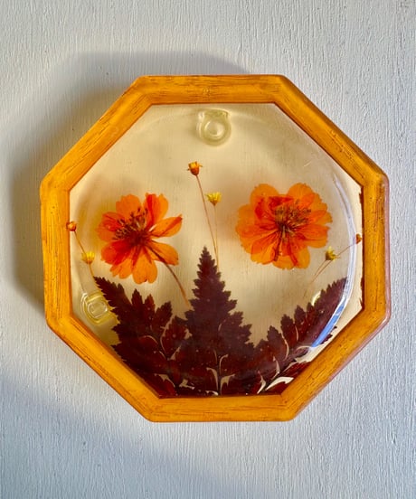 Trivet/Real Plants