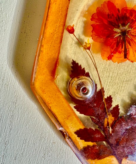 Trivet/Real Plants