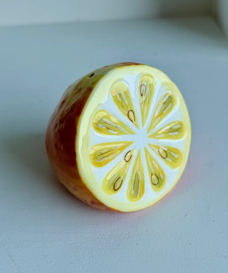 Spice Case/Lemon