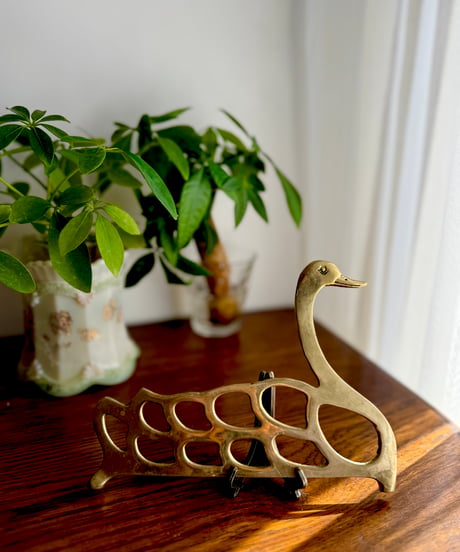 Swimming Swan