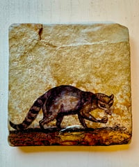 Stone Wall Art/Racoon