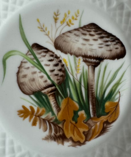 Mushroom Plate/B