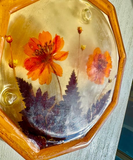 Trivet/Real Plants