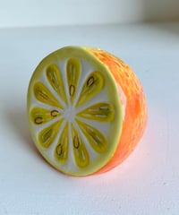 Spice Case/Lemon